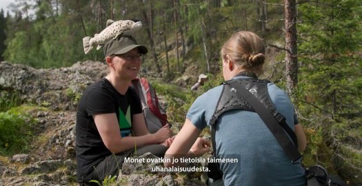 Facebook: Brown Trout in Northeastern Finland: jakso Koillismaan taimenesta