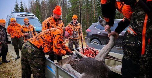 Facebook: Viikonloppuna metsästyksenvalvontaa yhteistyössä Rajavartiolaitos -...