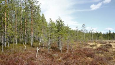 Pokka-Pulju - Erälupia ja elämyksiä